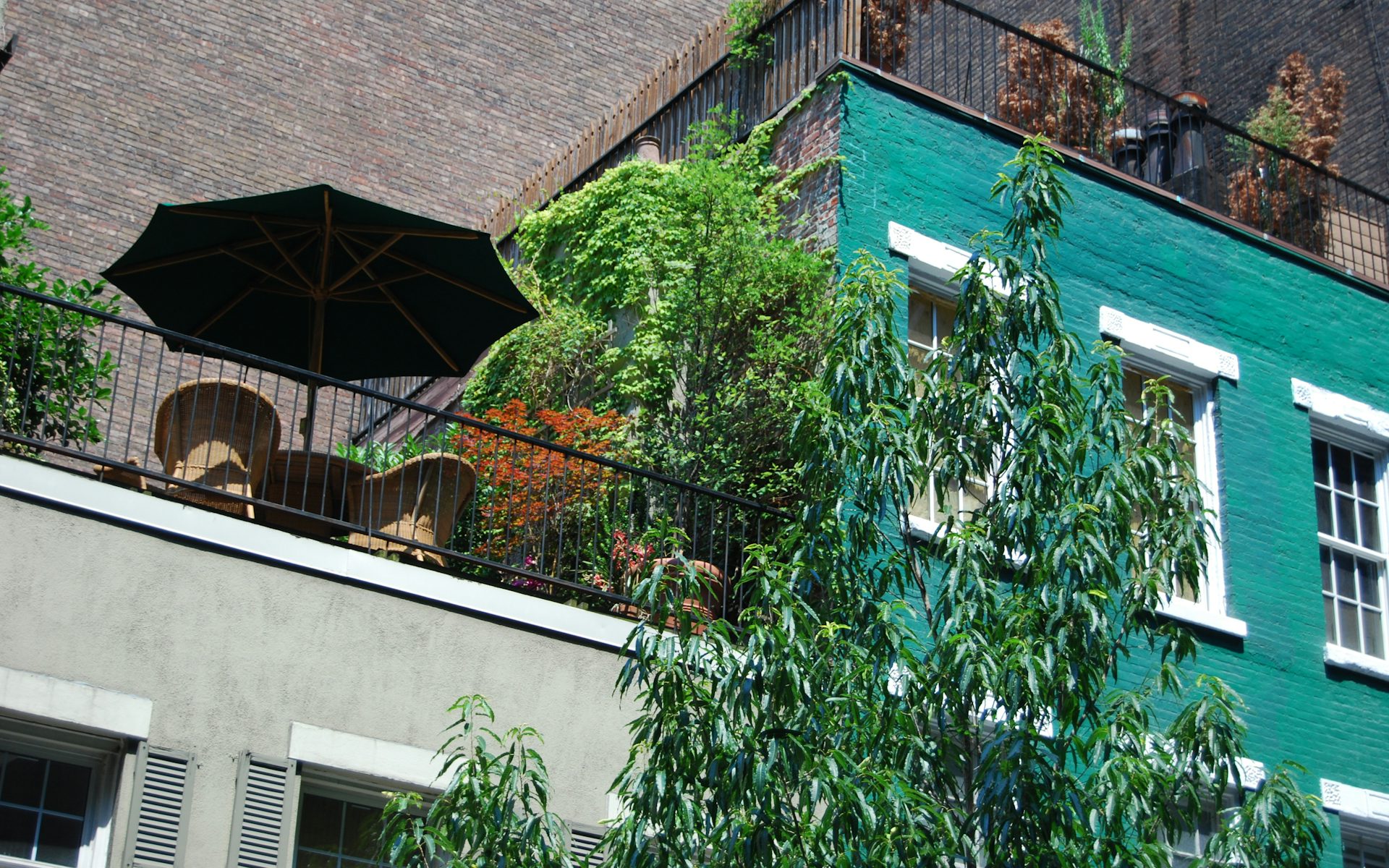 Terrace at Betty Villa